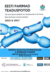 Eesti parimad teadusfotod 2015 & 2017