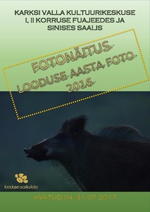 Looduse Aasta Foto 2016