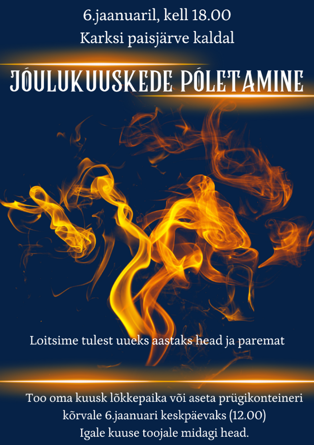 Jõulukuuskede põletamine Jõulukuuskede põletamine